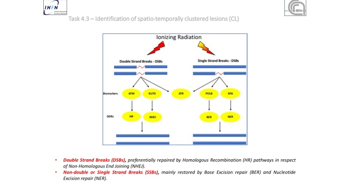 task 4 3 task 4 3 identification identificationof