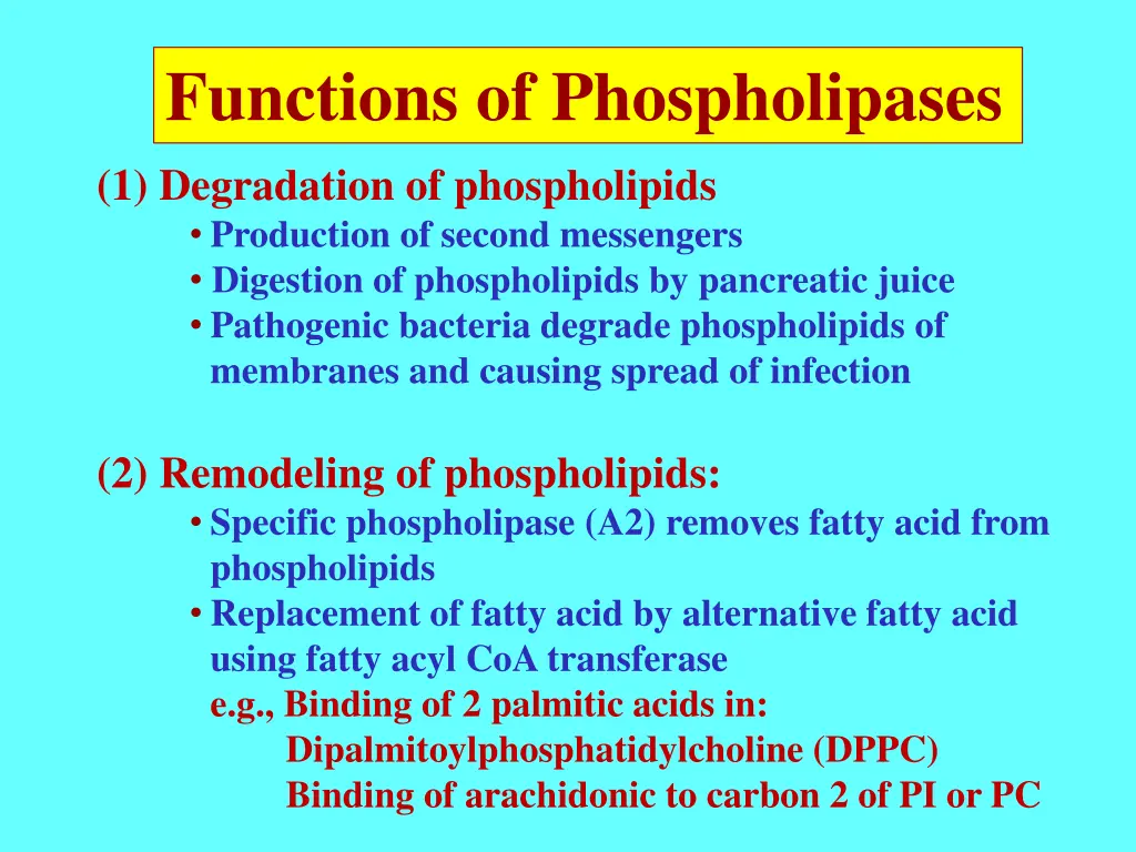 functions of phospholipases