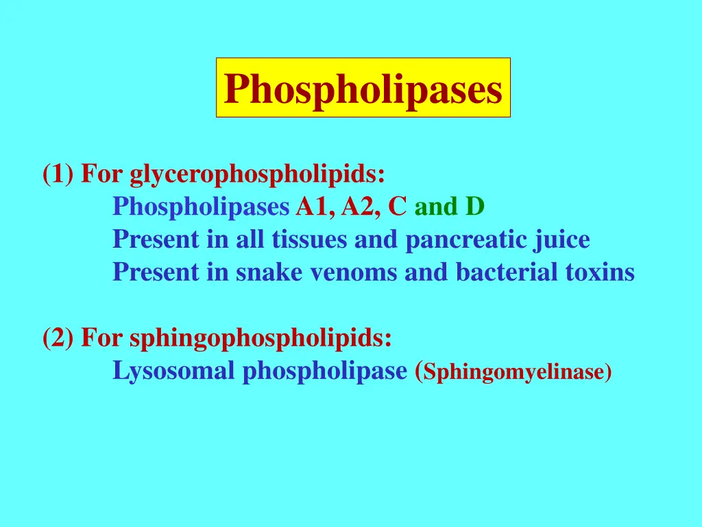 phospholipases