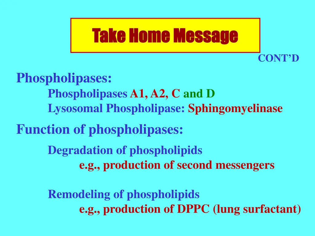 take home message take home message 1