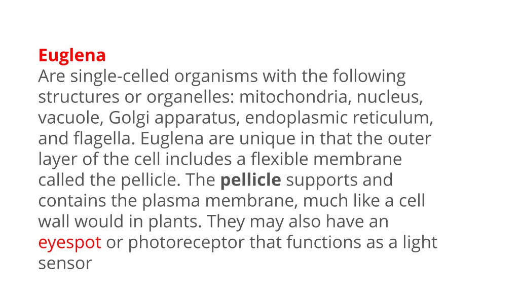 euglena are single celled organisms with