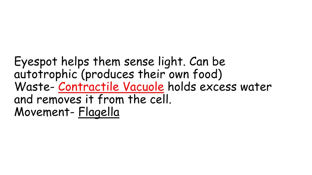 eyespot helps them sense light can be autotrophic