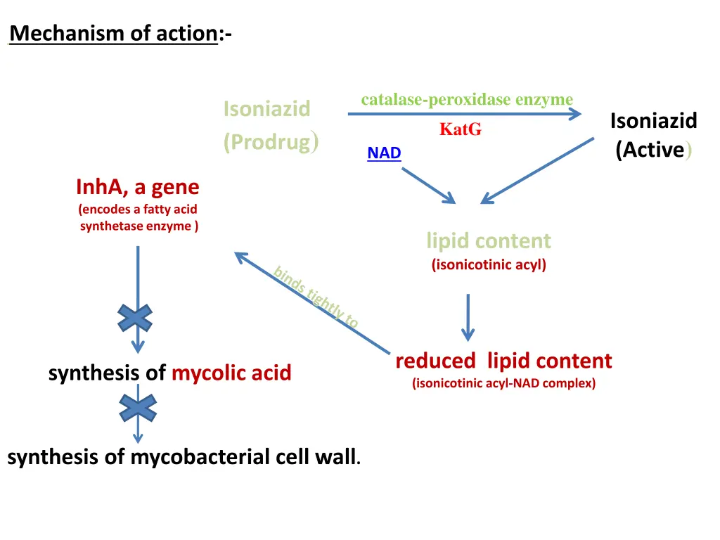 mechanism of action