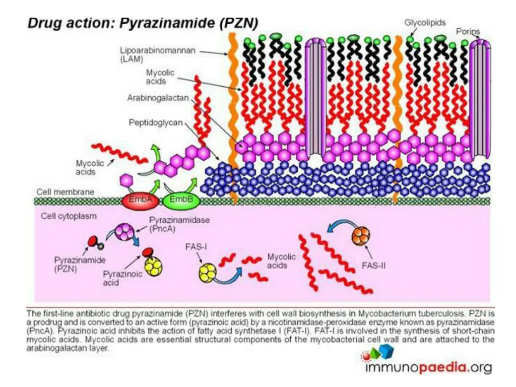 slide25