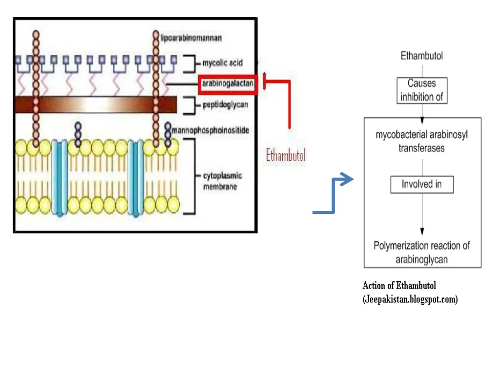 slide29