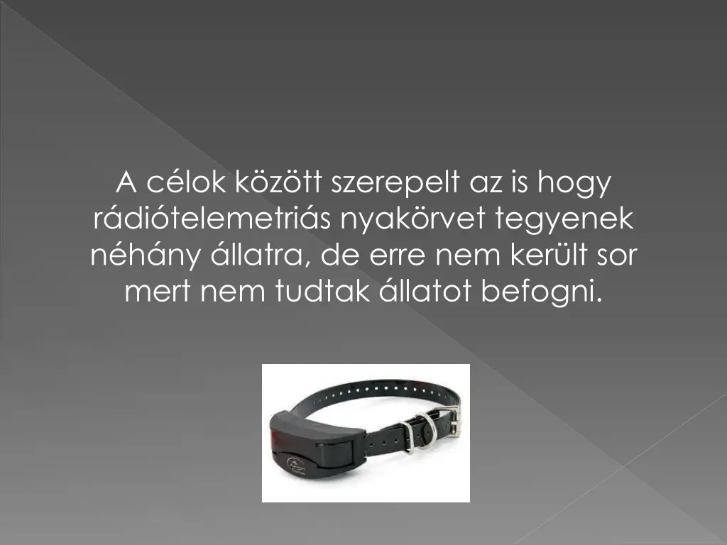 a c lok k z tt szerepelt az is hogy