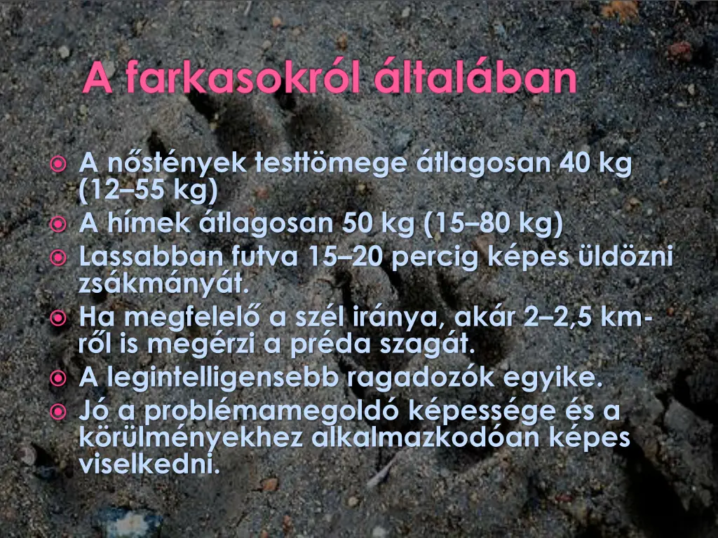a farkasokr l ltal ban 1
