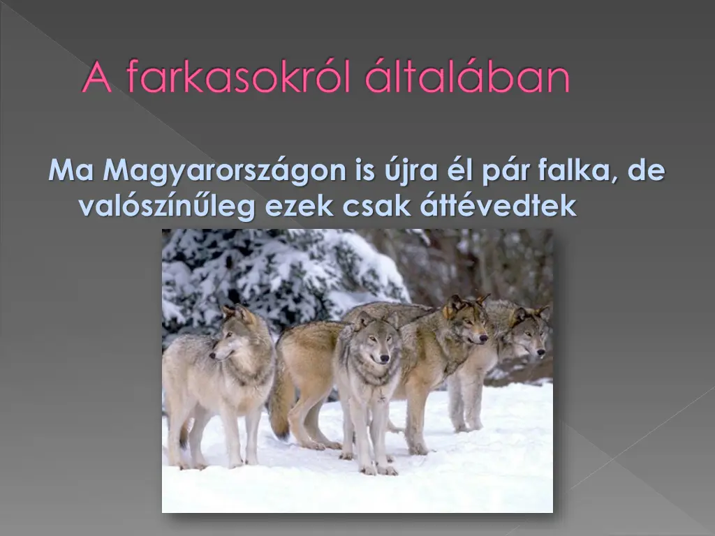 a farkasokr l ltal ban