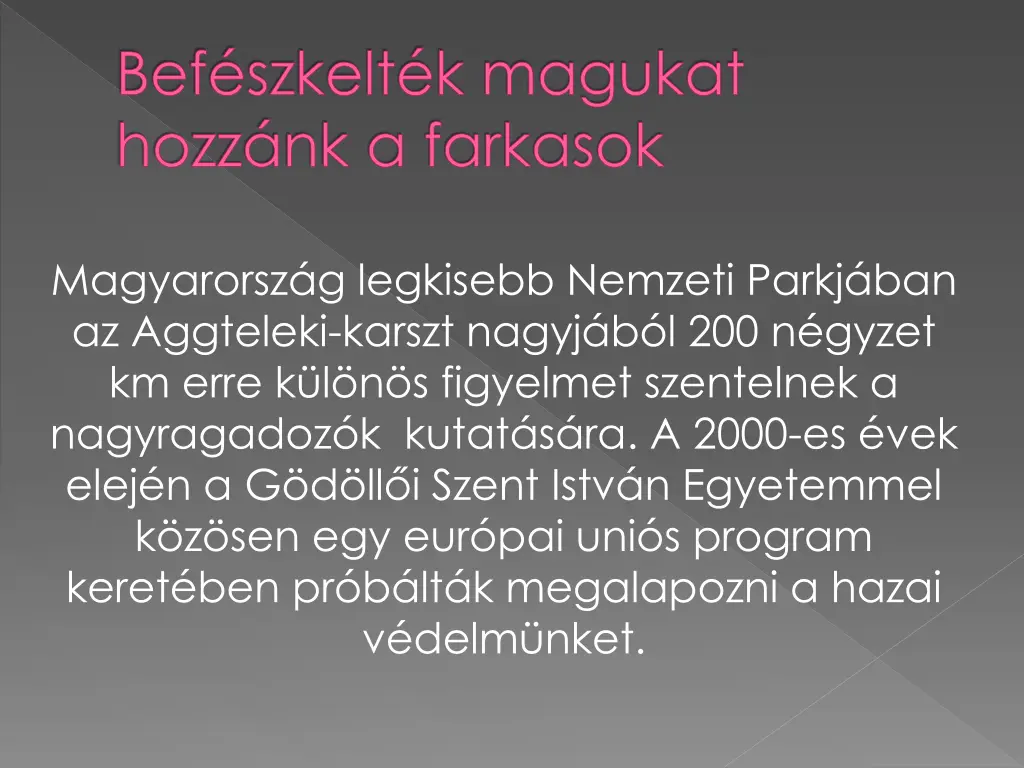 bef szkelt k magukat hozz nk a farkasok