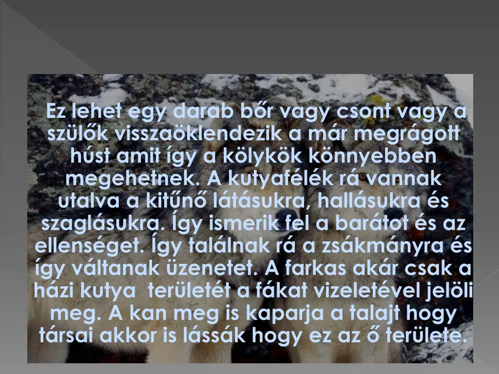ez lehet egy darab b r vagy csont vagy