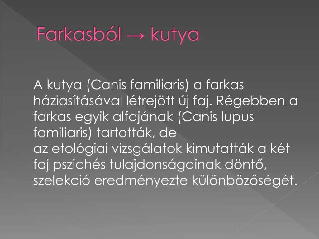 farkasb l kutya