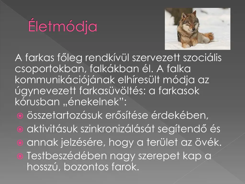 http upload wikimedia org wikipedia commons thumb