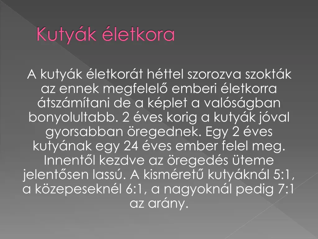 kuty k letkora