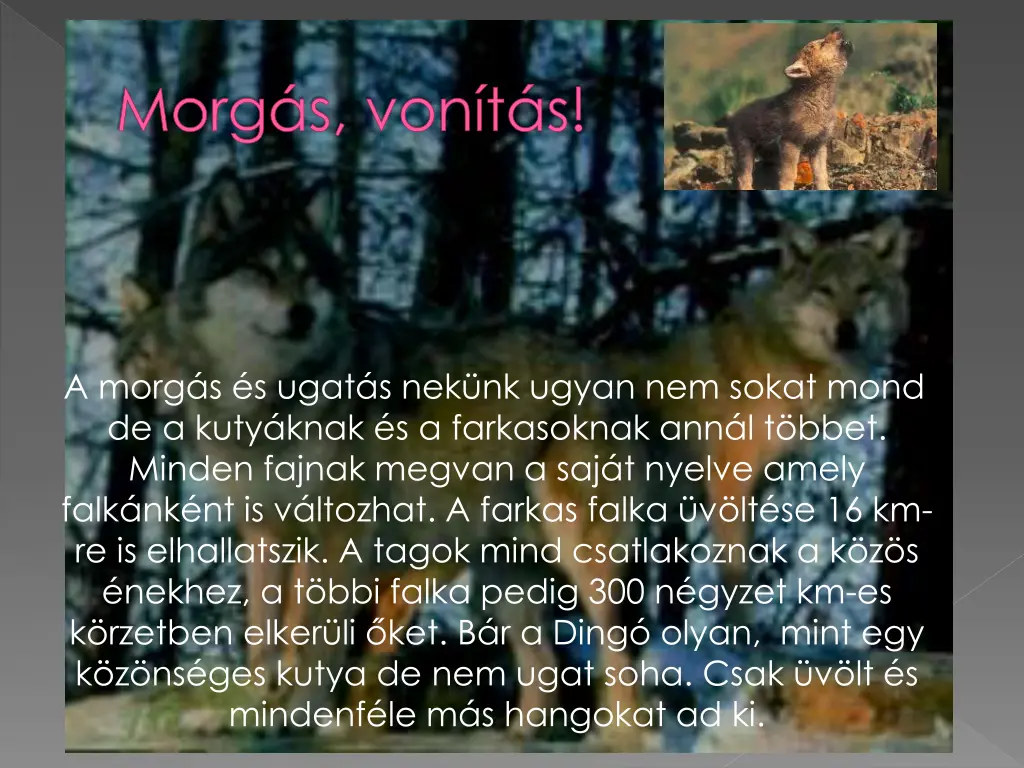 morg s von t s