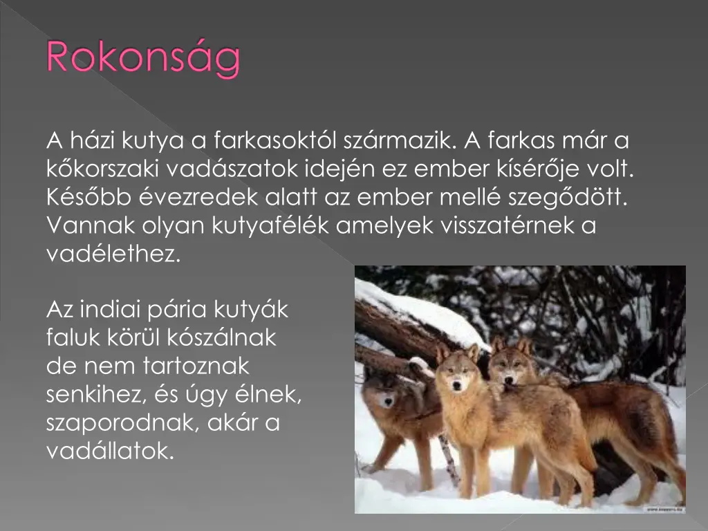 rokons g