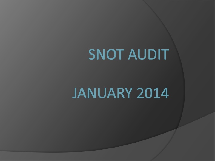 snot audit