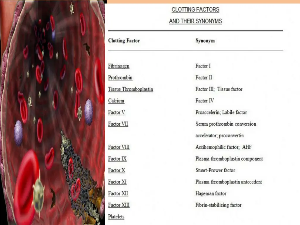 coagulation factors
