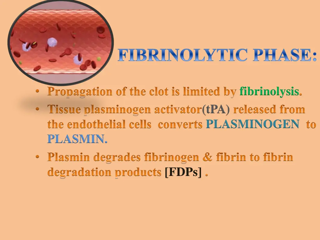 fibrinolytic phase