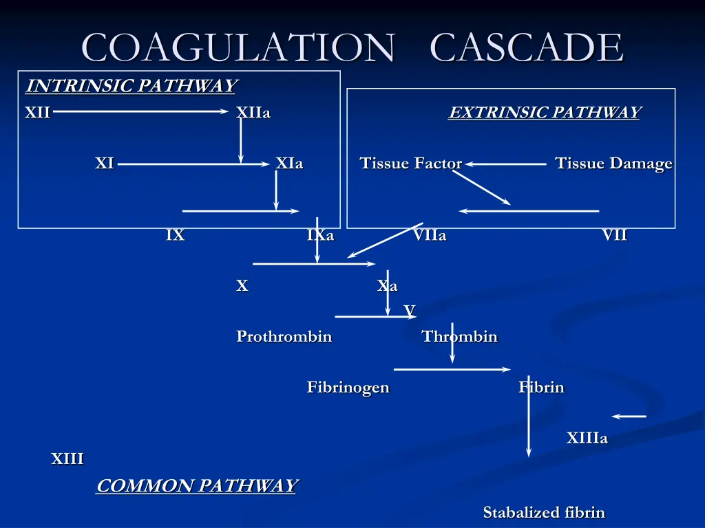 coagulation cascade intrinsic pathway xii xiia