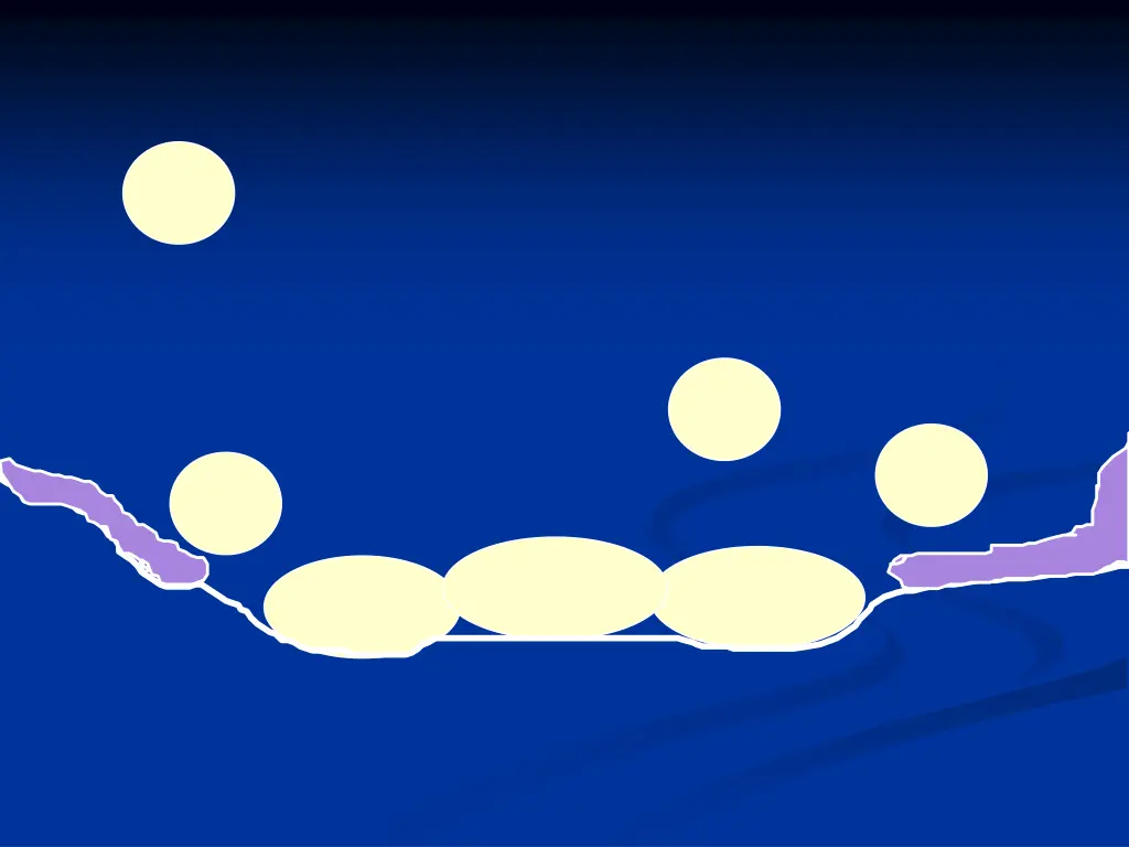 slide8