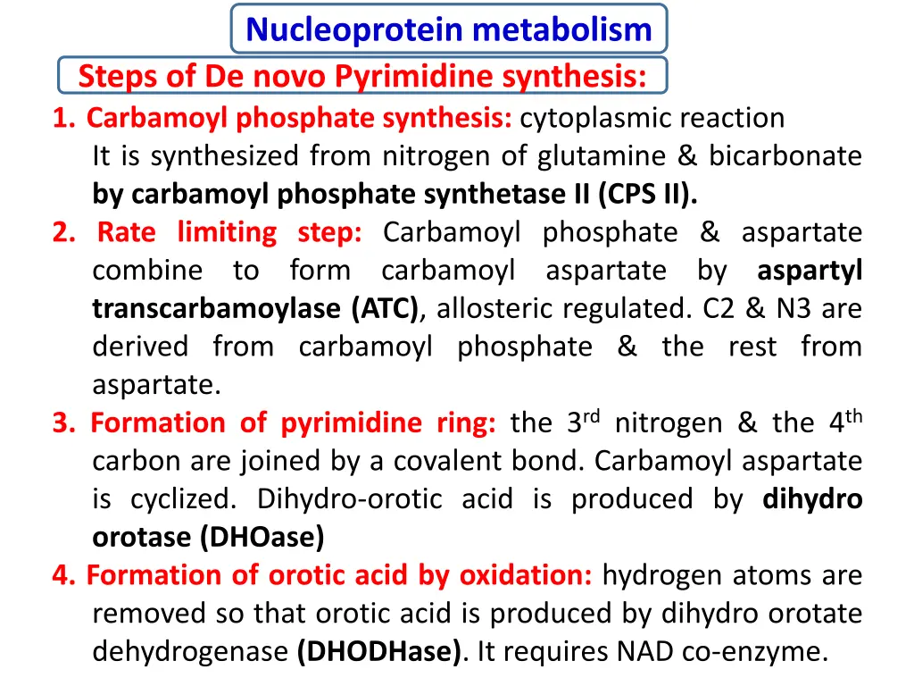 nucleoprotein metabolism 12