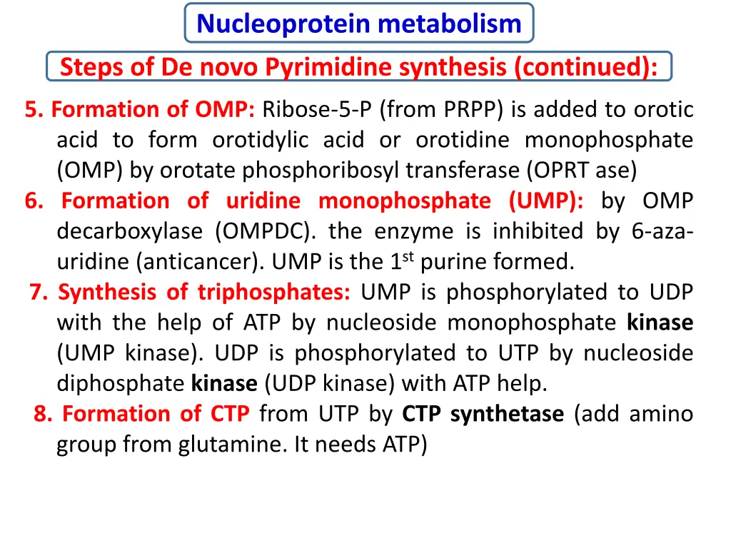 nucleoprotein metabolism 13