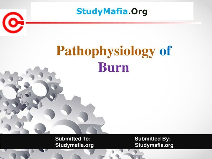 studymafia org