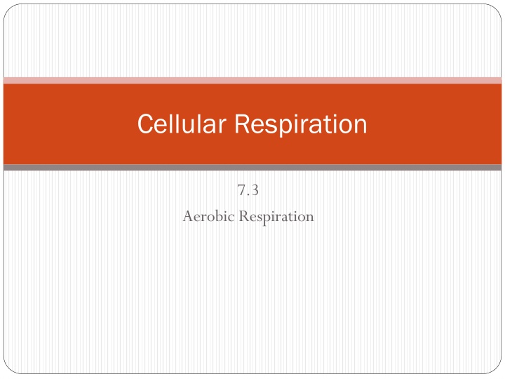 cellular respiration
