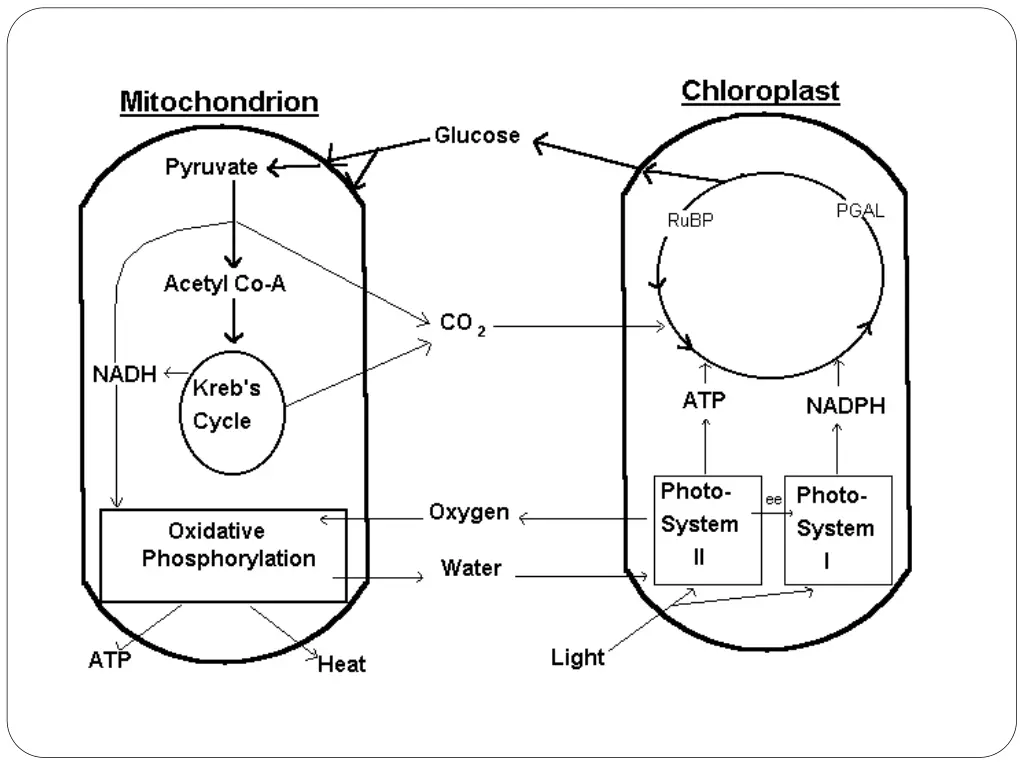 slide21