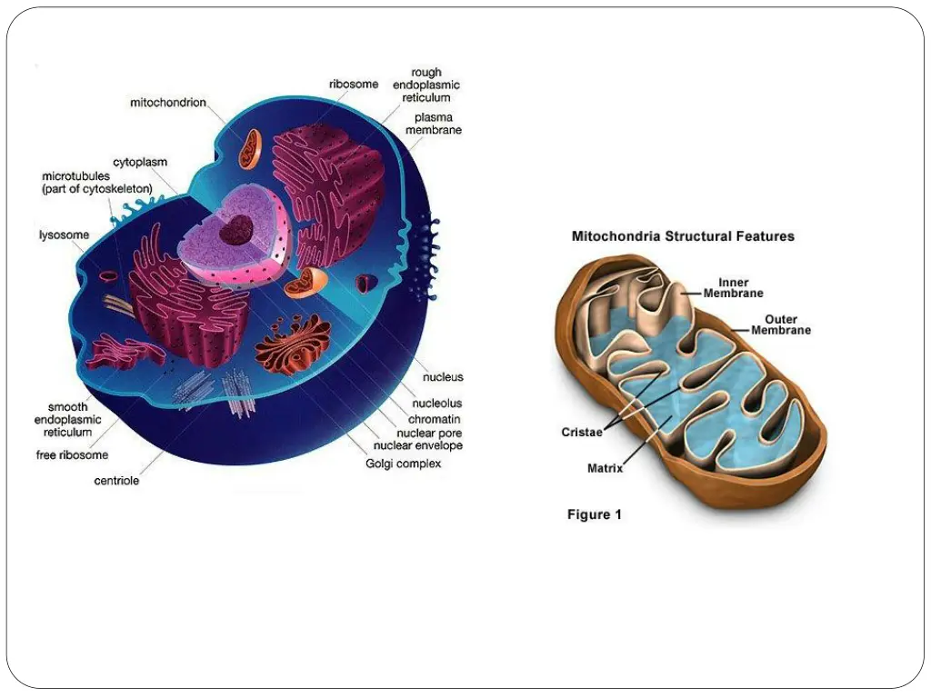 slide3