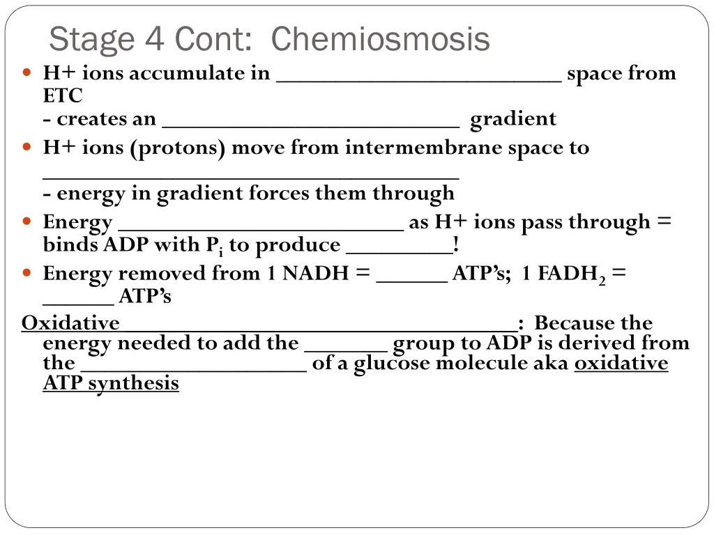 stage 4 cont chemiosmosis h ions accumulate