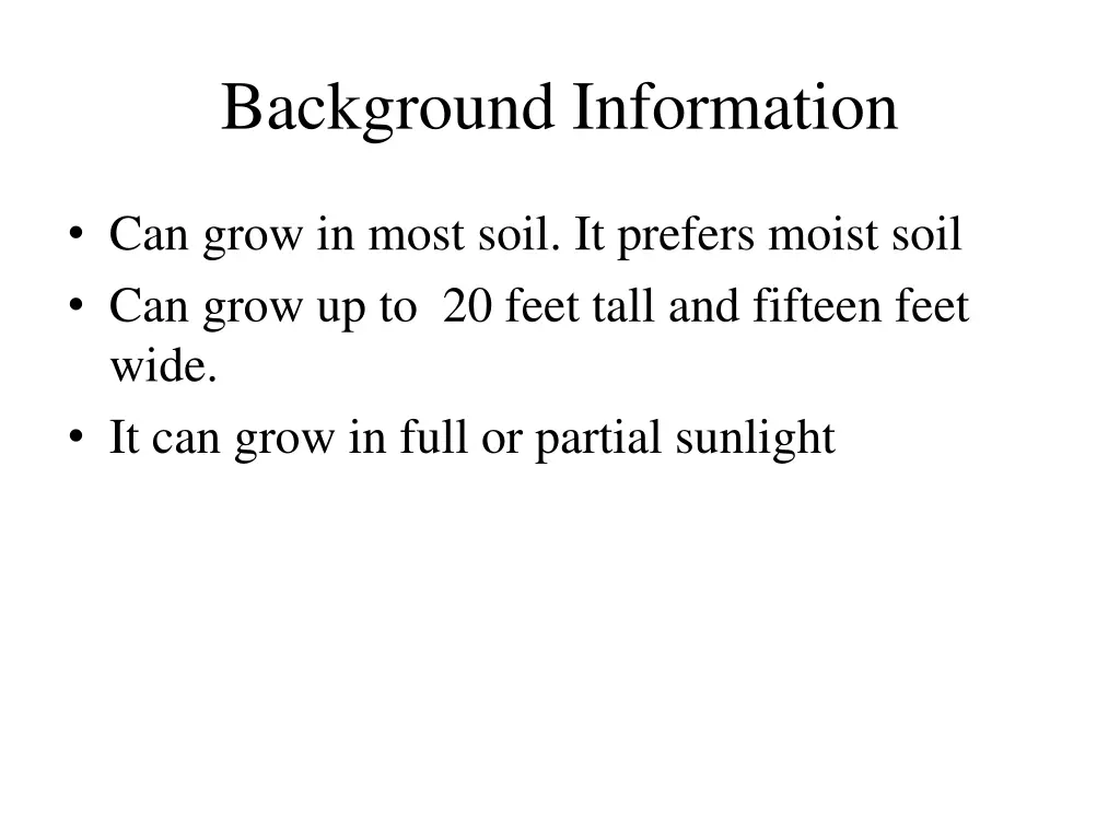 background information
