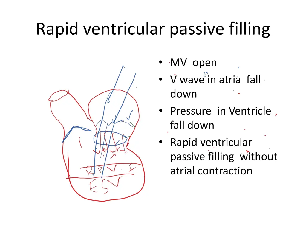 rapid ventricular passive filling