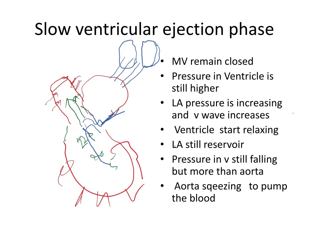 slow ventricular ejection phase