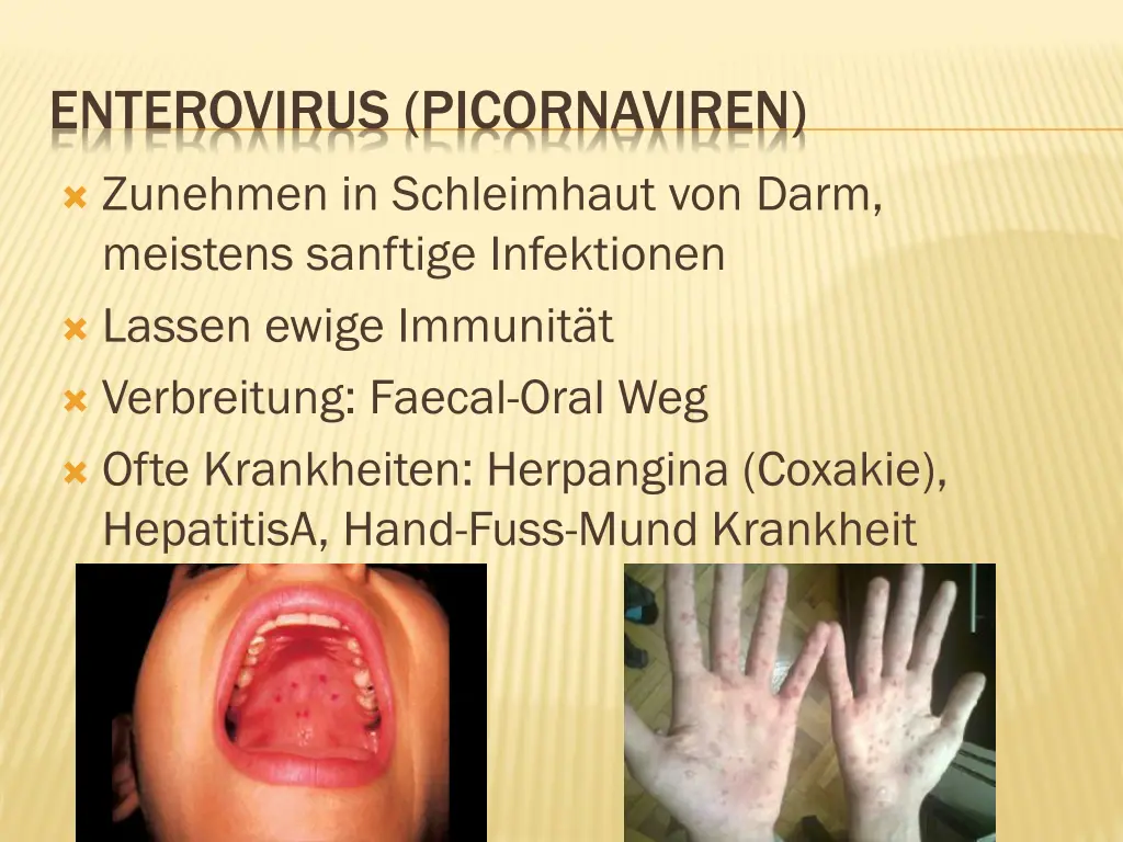 enterovirus picornaviren