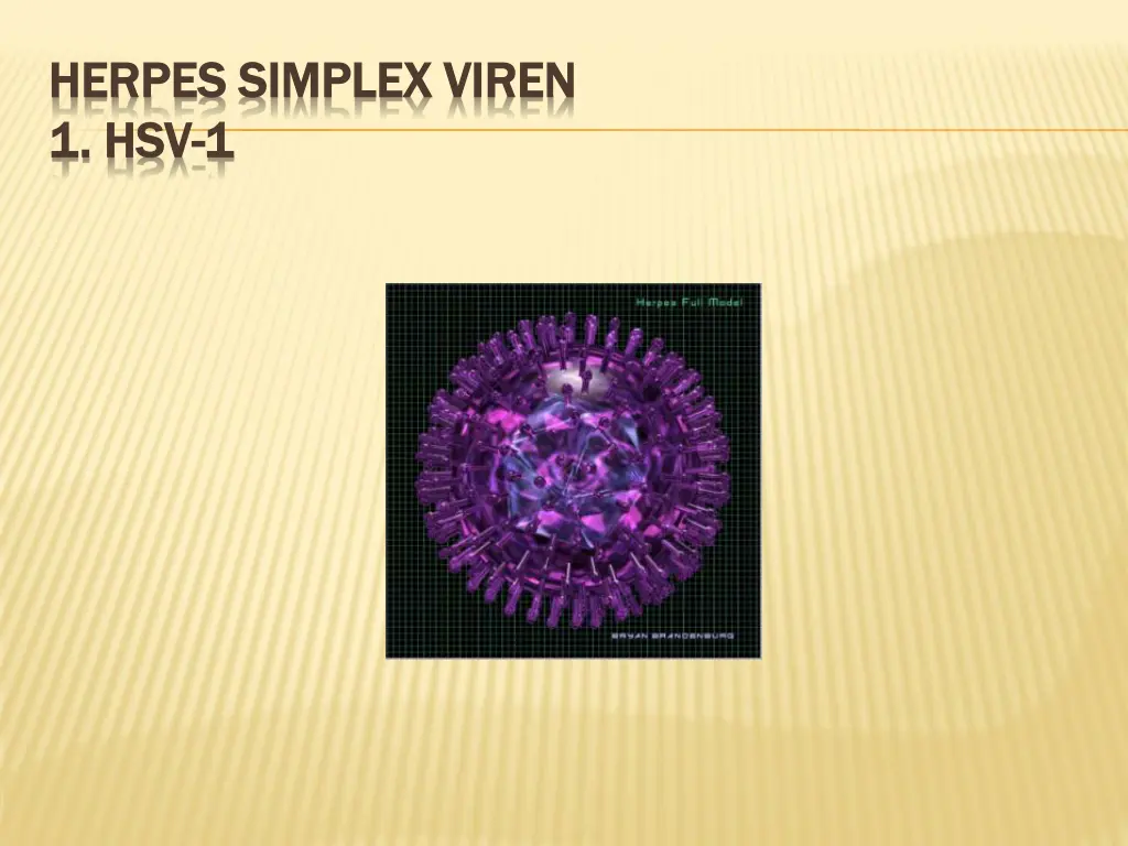 herpes herpes simplex simplex viren