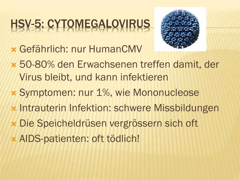 hsv 5 cytomegalovirus
