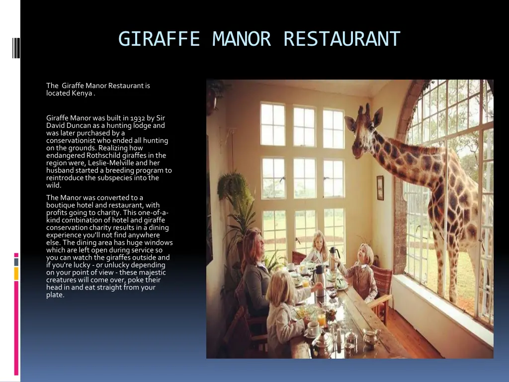 giraffe manor restaurant
