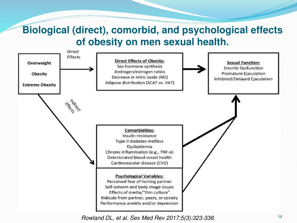 biological direct comorbid and psychological