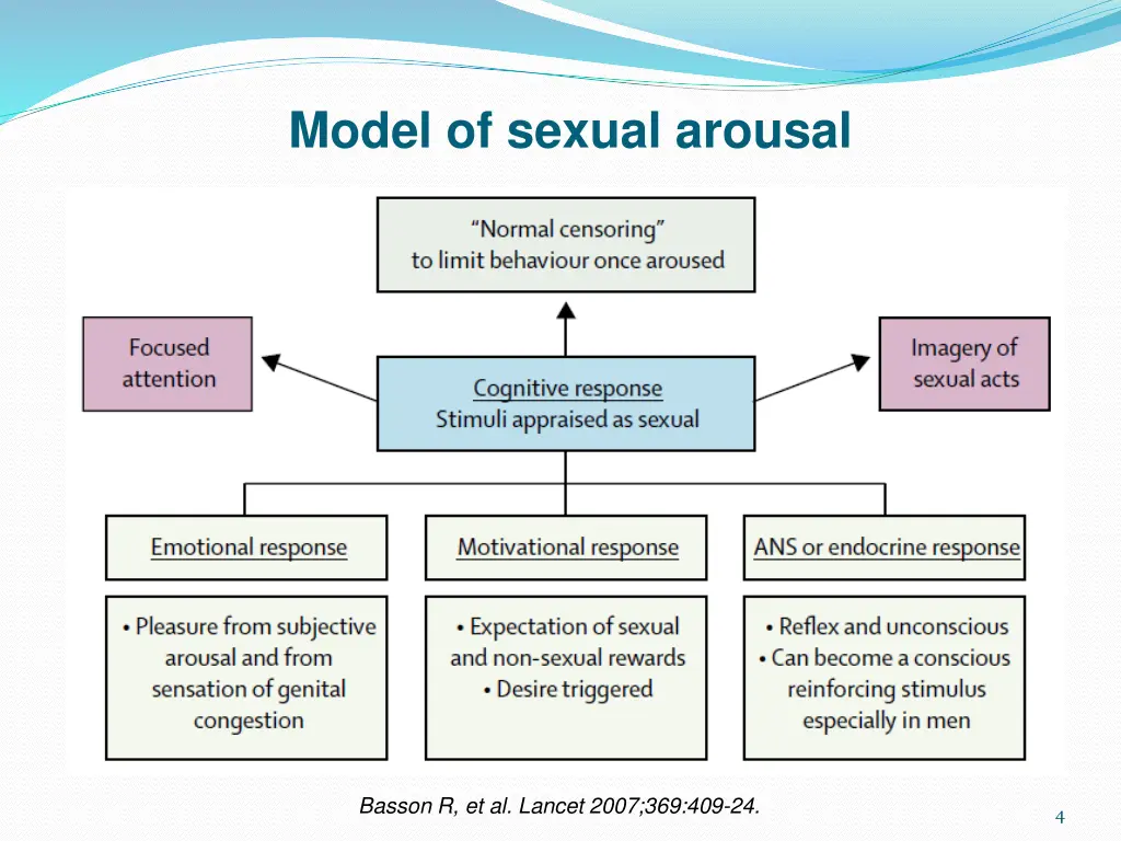 model of sexual arousal