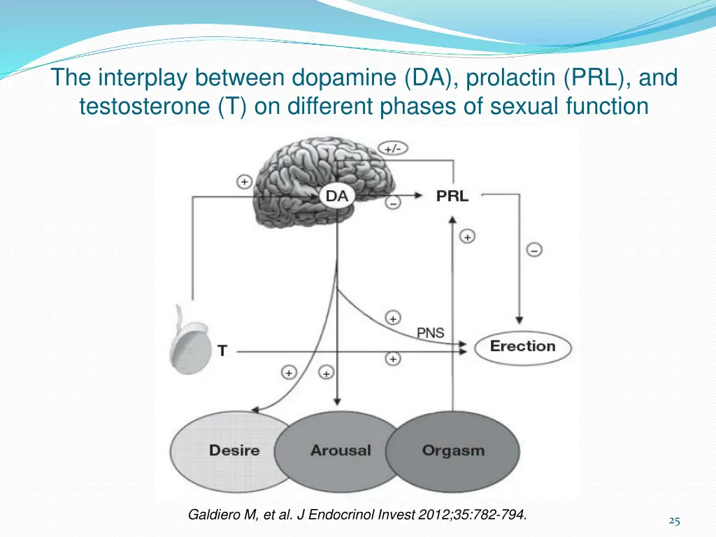 the interplay between dopamine da prolactin