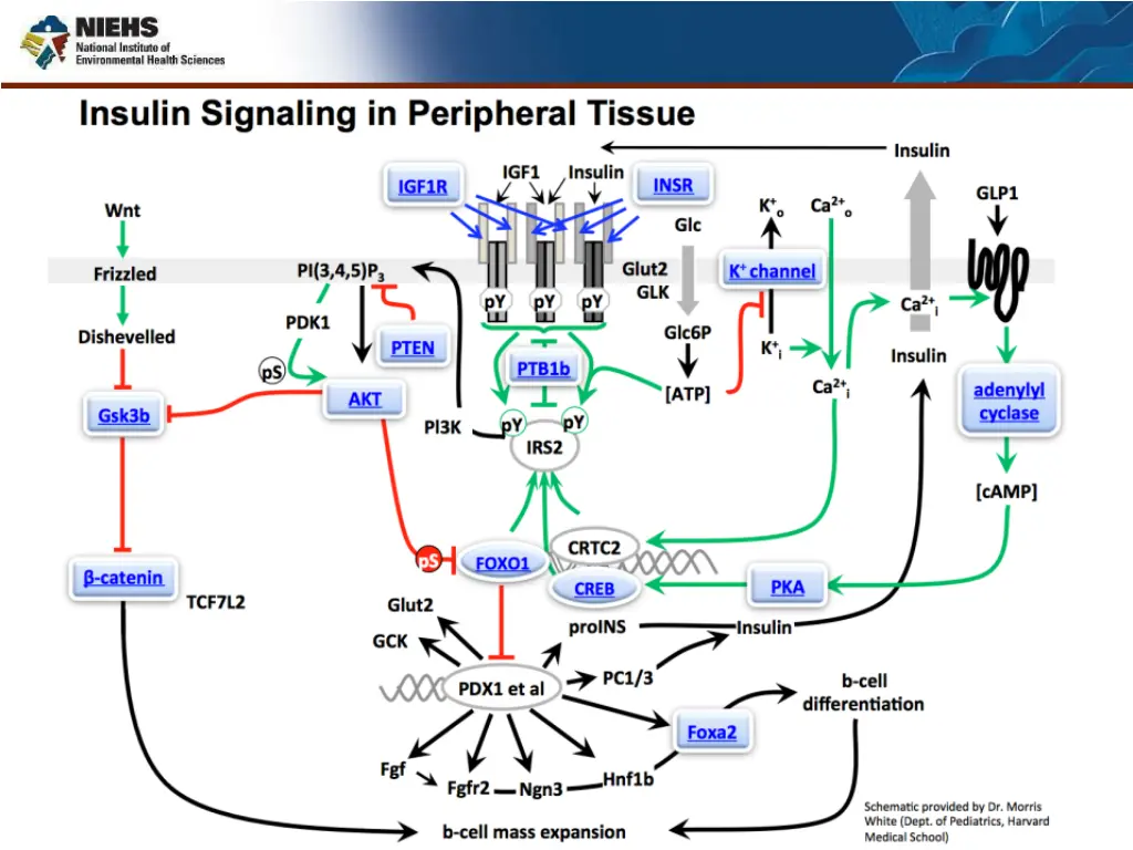 slide8