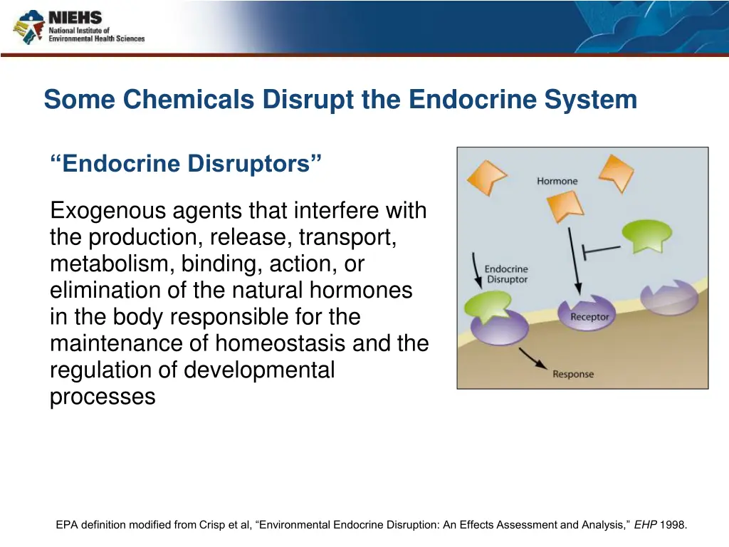 some chemicals disrupt the endocrine system