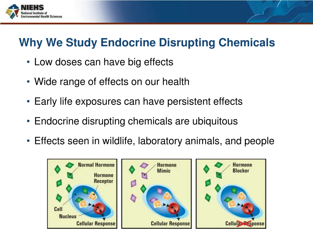 why we study endocrine disrupting chemicals