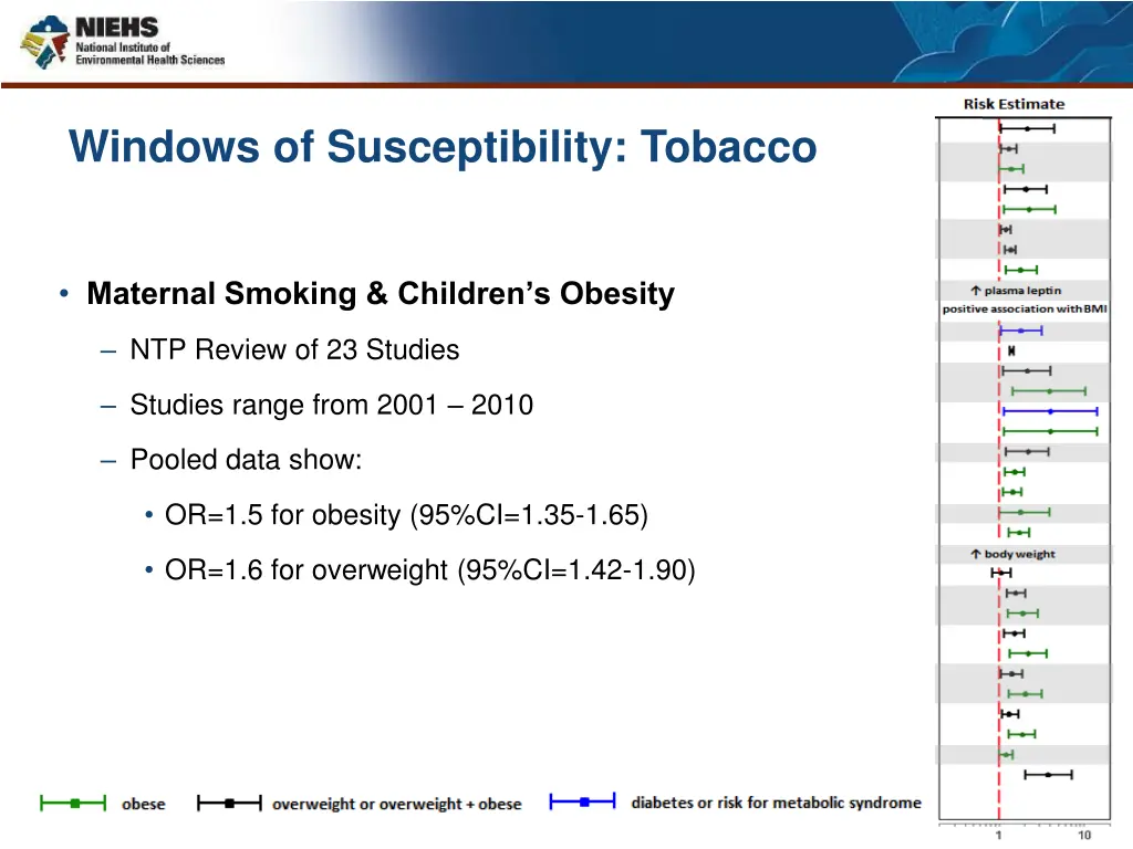 windows of susceptibility tobacco