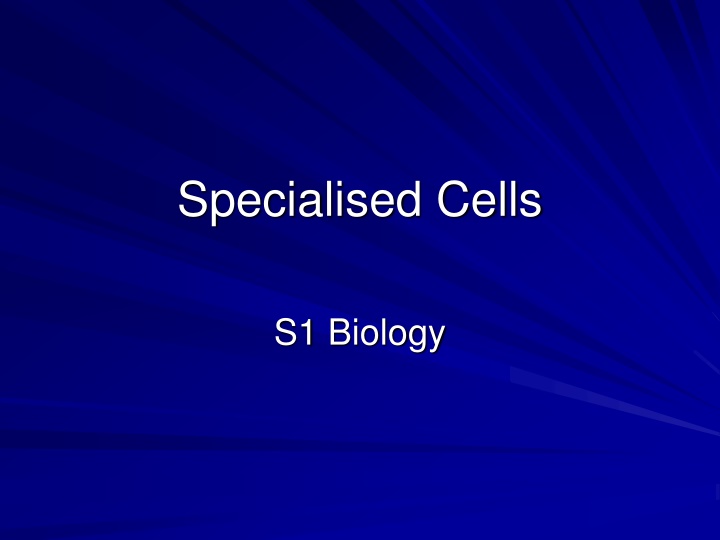 specialised cells