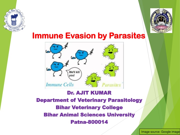 bihar animal sciences university