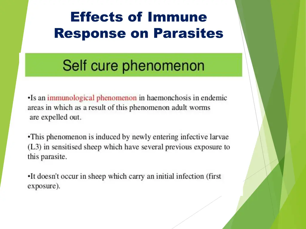 effects of immune response on parasites 1