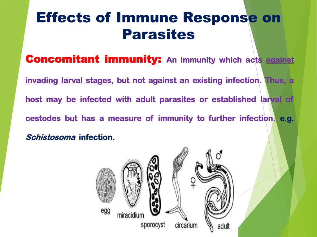 effects of immune response on parasites 3