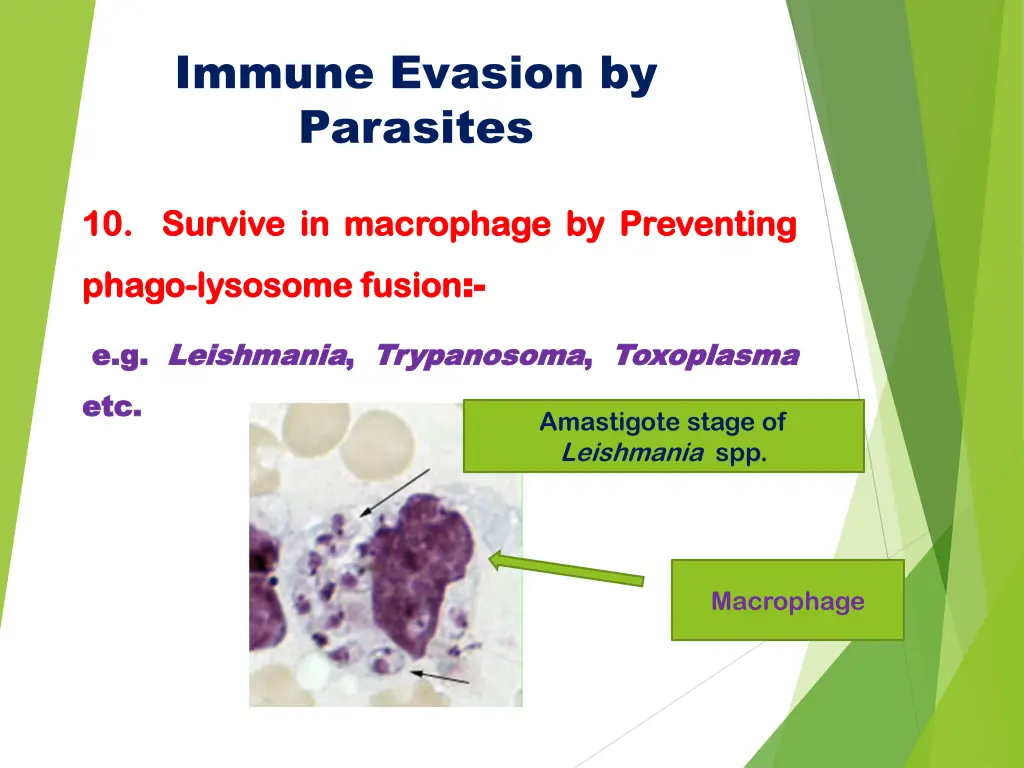 immune evasion by parasites 10